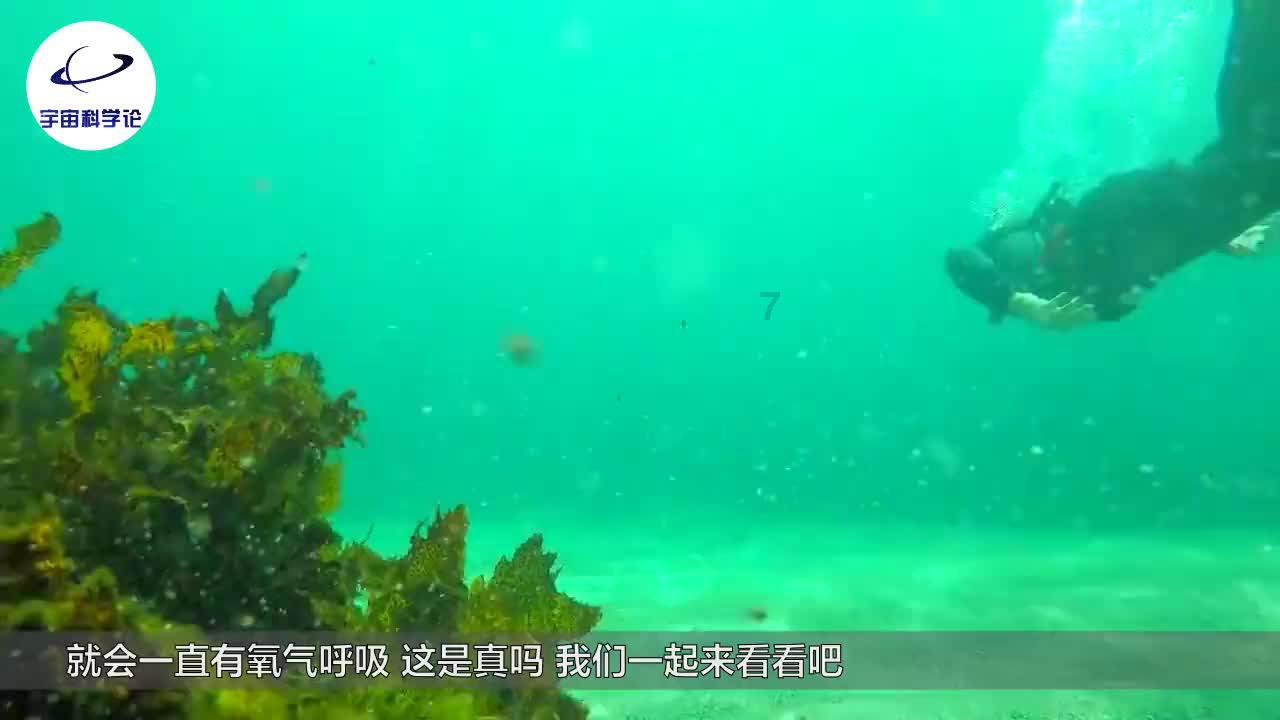 李太后为何没掌权？有什么因素造成明朝没有后宫当政