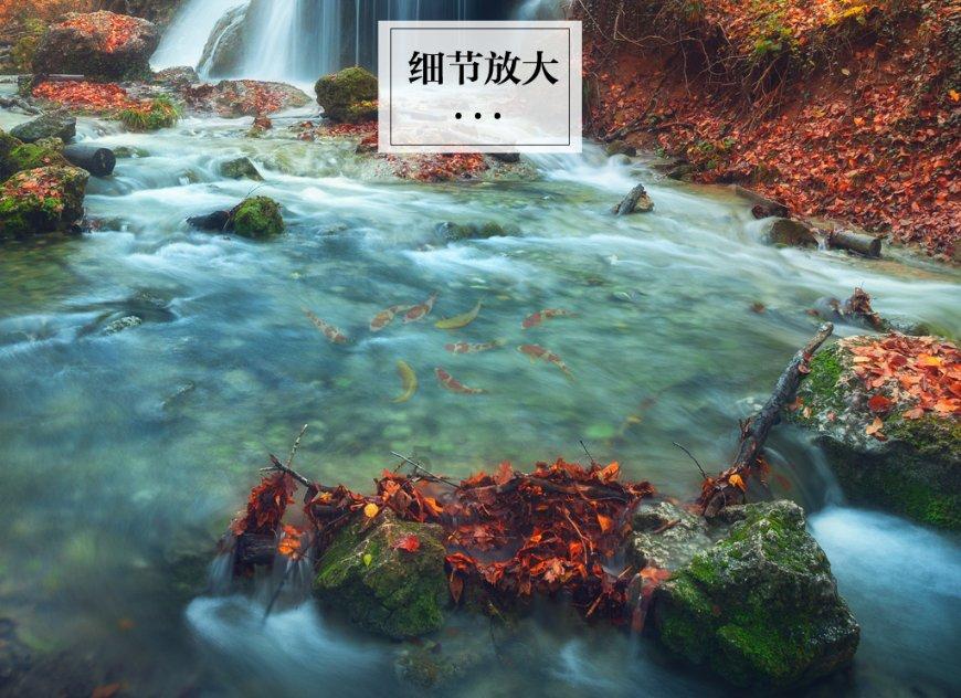 工伤证明在哪里开游戏画面